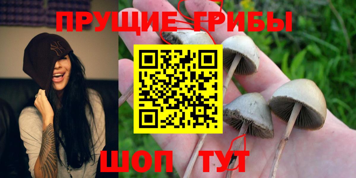 Галлюциногенные грибы прущие грибы  Вход с VPN  Волгоград 