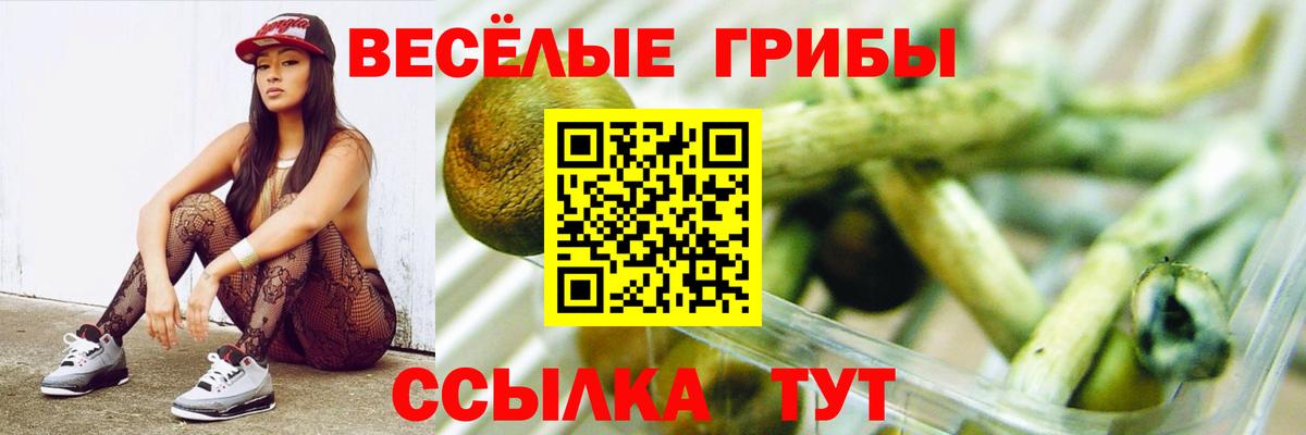 Псилоцибиновые грибы прущие грибы Волгоград